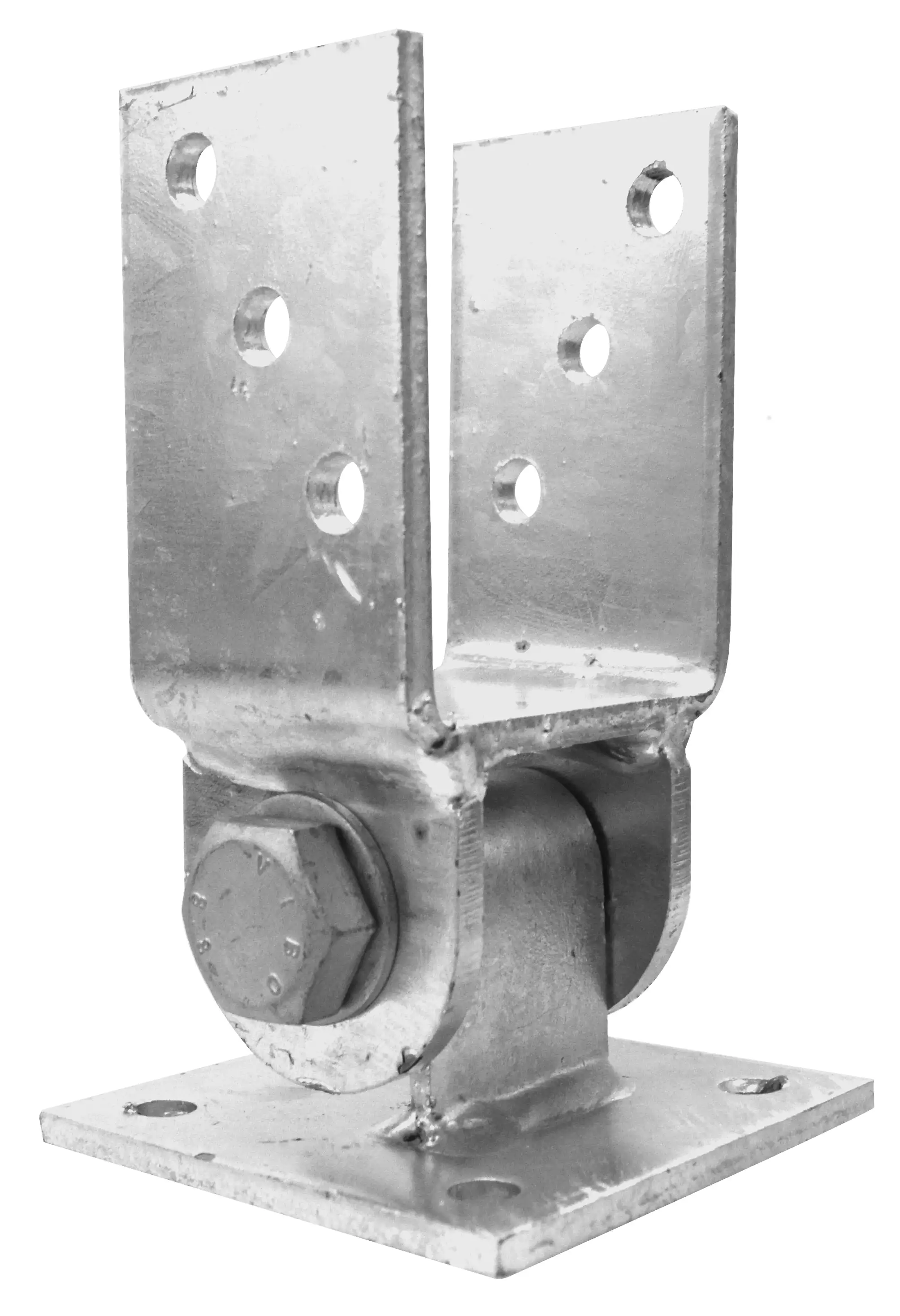 81