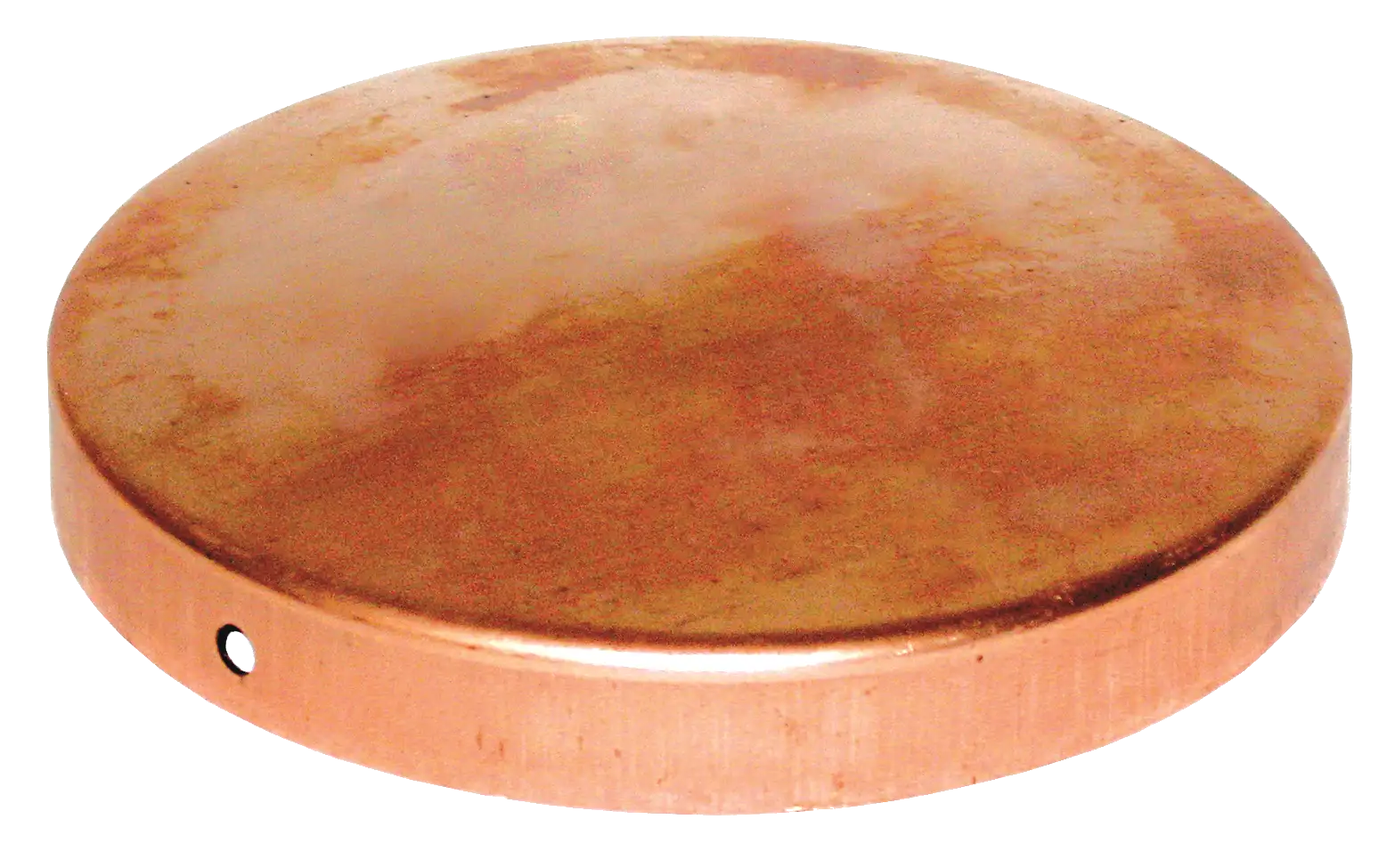 Borchie copripalo rotonde